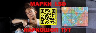 стаф Шахты