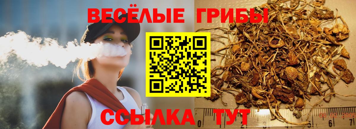 Галлюциногенные грибы Magic Shrooms Гагарин