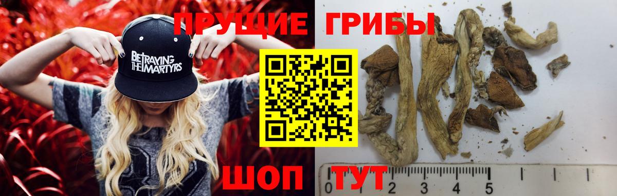 сколько стоит  Вход с VPN  Гагарин  Галлюциногенные грибы Magic Shrooms 